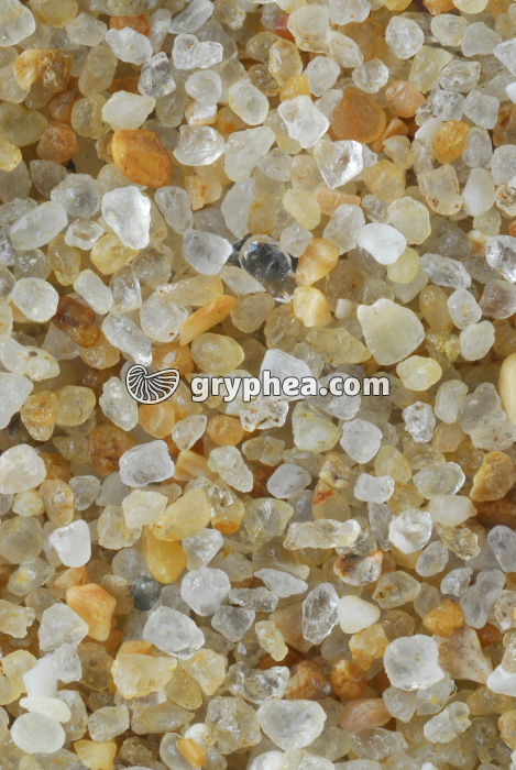 Sable quartzeux - Plage de La Baule (Loire Atlantique) x4 - gryphea.org